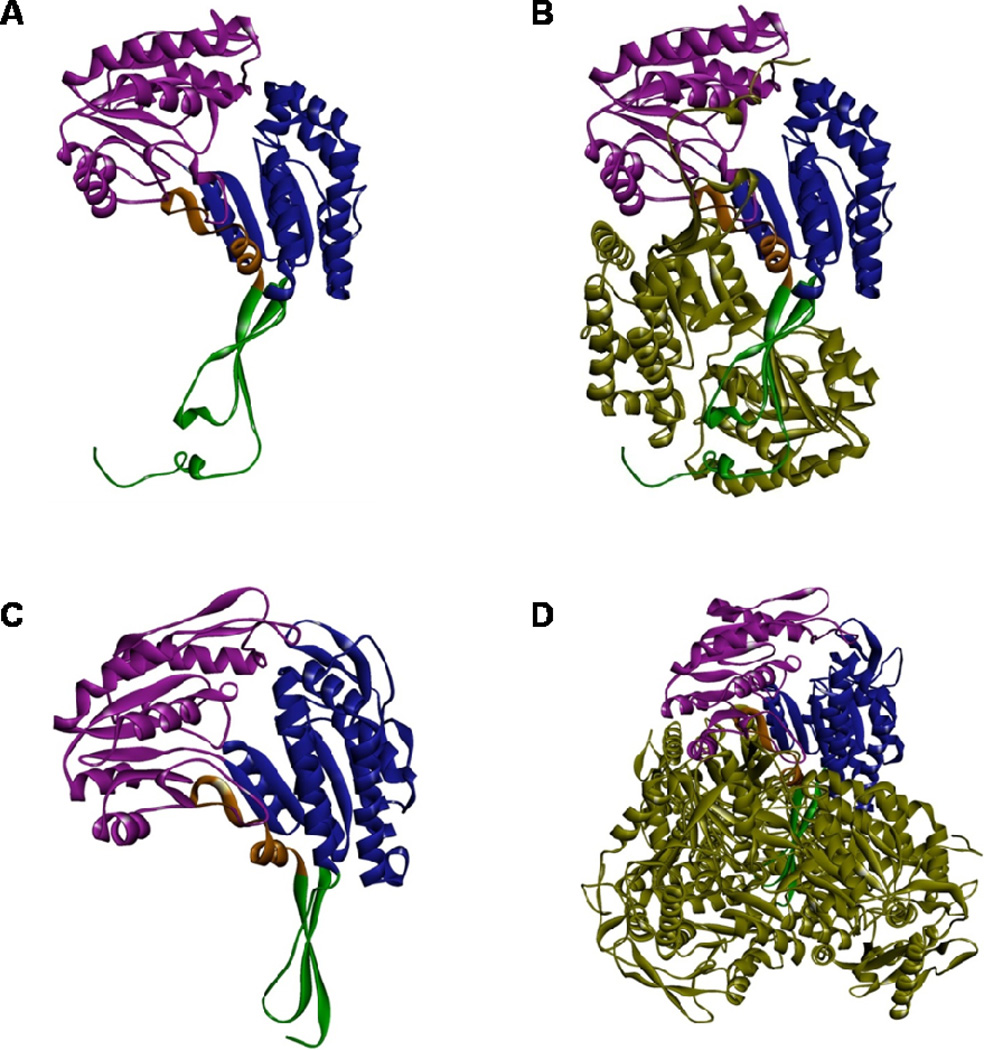 Fig. 2