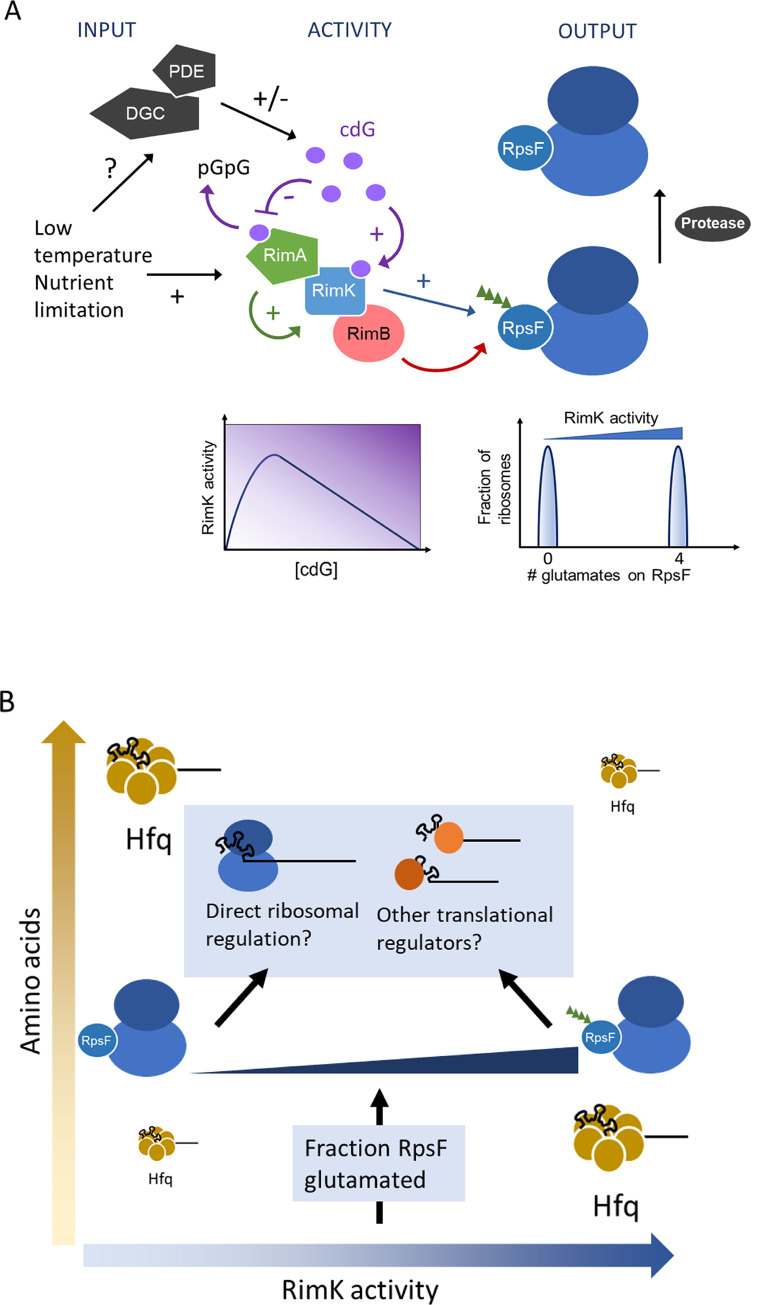 Fig 10