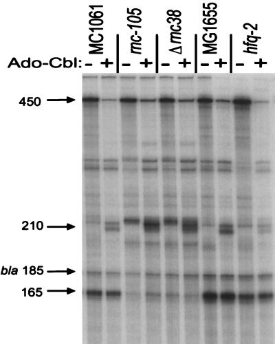 FIG. 7