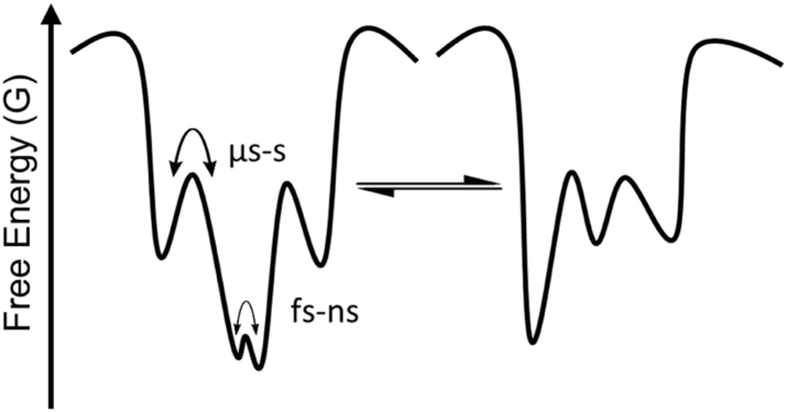 Fig. 1