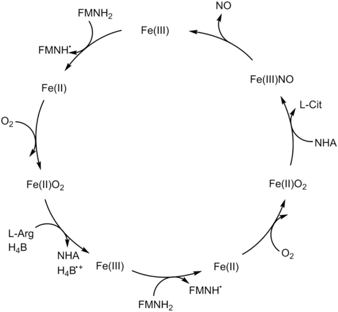 Scheme 2