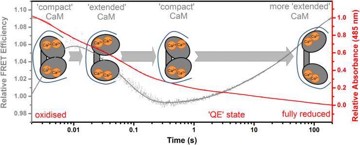 Fig. 4