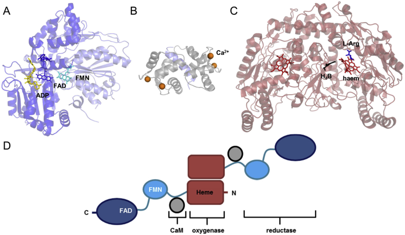 Fig. 2