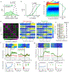 Extended Data Figure 9|