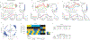 Extended Data Figure 8|
