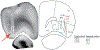 Extended Data Figure 2|
