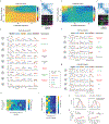 Extended Data Figure 7|