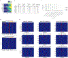 Extended Data Figure 5|