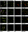 FIG. 4.