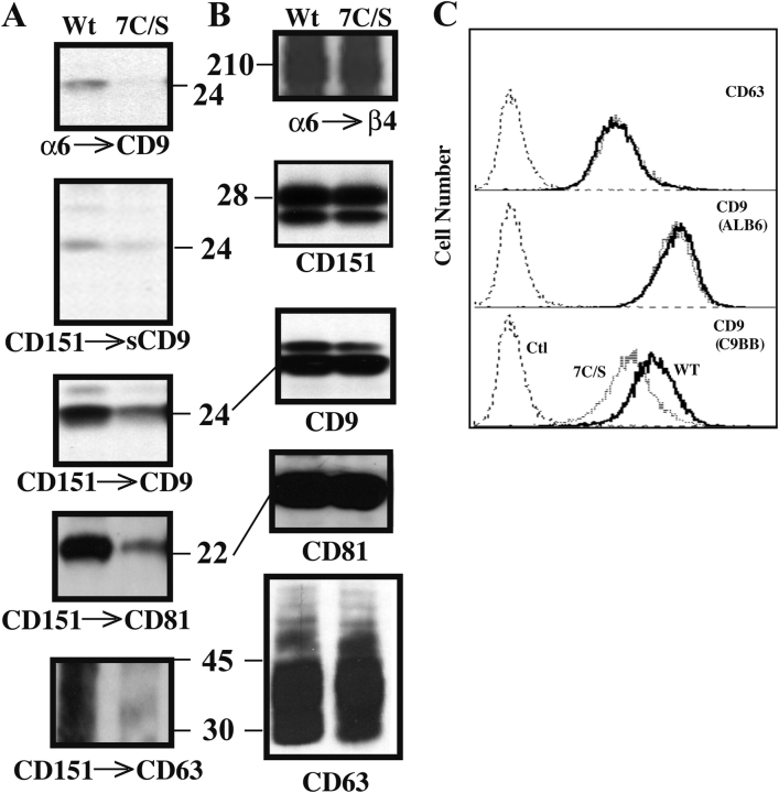 Figure 9.