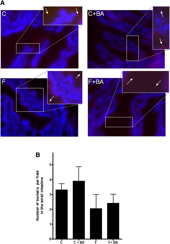 Fig. 6.