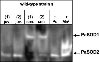 FIG. 9