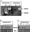 FIG. 7