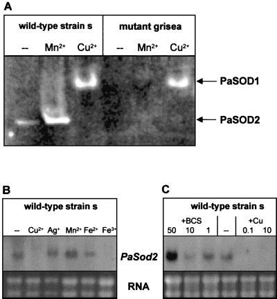 FIG. 7