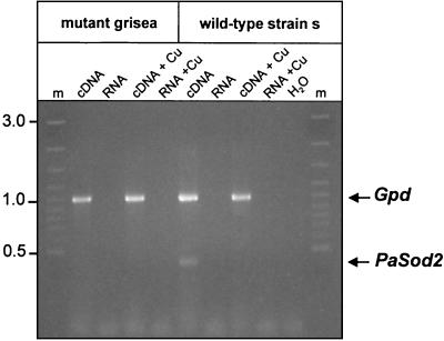 FIG. 8