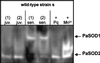 FIG. 9