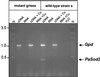 FIG. 8