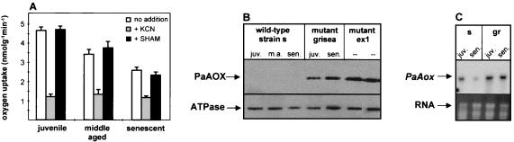 FIG. 5