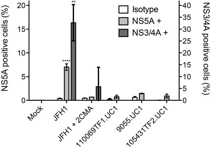 FIG 6 