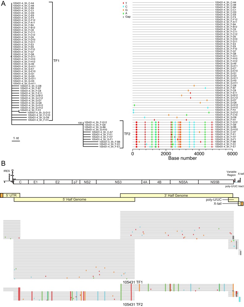 FIG 2 