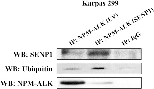 Figure 6