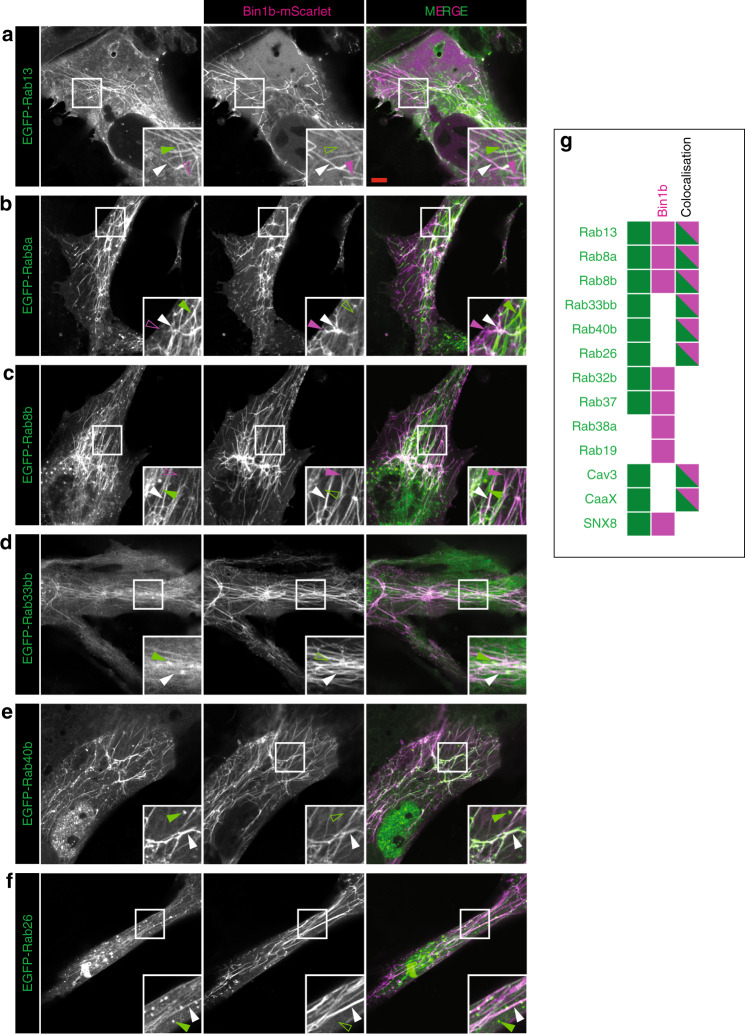 Fig. 9