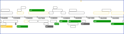 Fig. 2