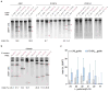 Extended Data Figure 3