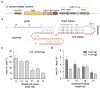 Extended Data Figure 4