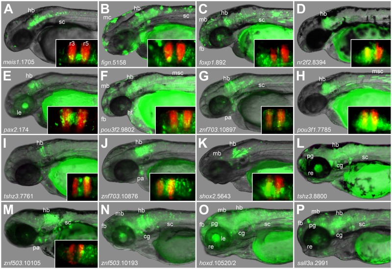 Fig 3