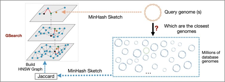 Graphical Abstract