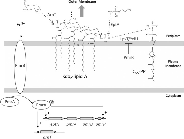 FIG. 5.