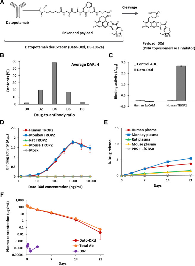 Figure 1. Structures and characteristics of Dato-DXd. A, Schematic structure of Dato-DXd. B, DAR distribution of Dato-DXd. C, Binding specificity of Dato-DXd against human TROP family proteins. Recombinant proteins were incubated with Dato-DXd or isotype control ADC (control ADC) and binding activities were measured by ELISA. Each value represents the mean and SD of triplicates. D, Species cross-reactivity of Dato-DXd. CHO-K1 cells expressing human, cynomolgus monkey, rat and mouse TROP2 were incubated with Dato-DXd and binding activities were measured by cell-based ELISA. Each value represents the mean and SD of triplicates. E, In vitro stability of Dato-DXd in plasma. The release rate at each timepoint was calculated using the mean concentration of the released DXd (N = 3). F, Pharmacokinetics of Dato-DXd in cynomolgus monkeys. Dato-DXd was intravenously administered to cynomolgus monkeys at the dose of 6 mg/kg and the concentrations of Dato-DXd, total antibody and DXd in plasma were determined. Each value represents the mean and SD (N = 3).