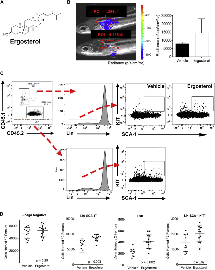 Figure 3