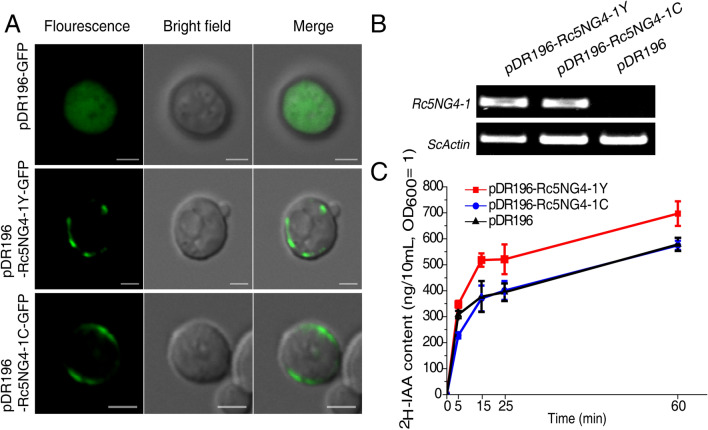 Figure 6