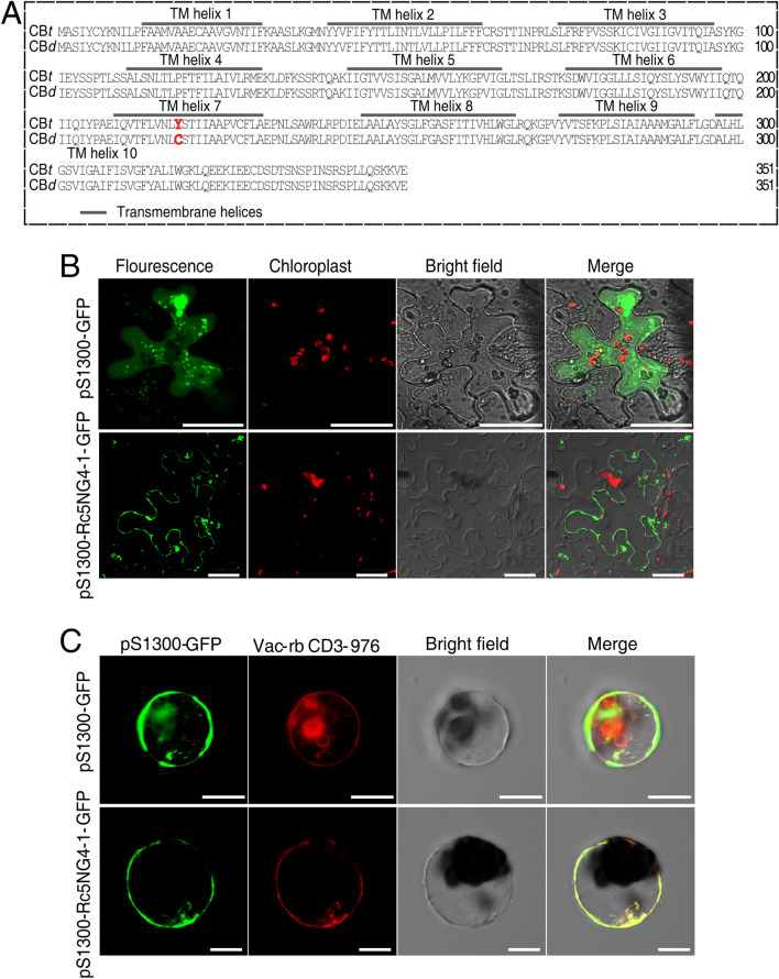 Figure 5