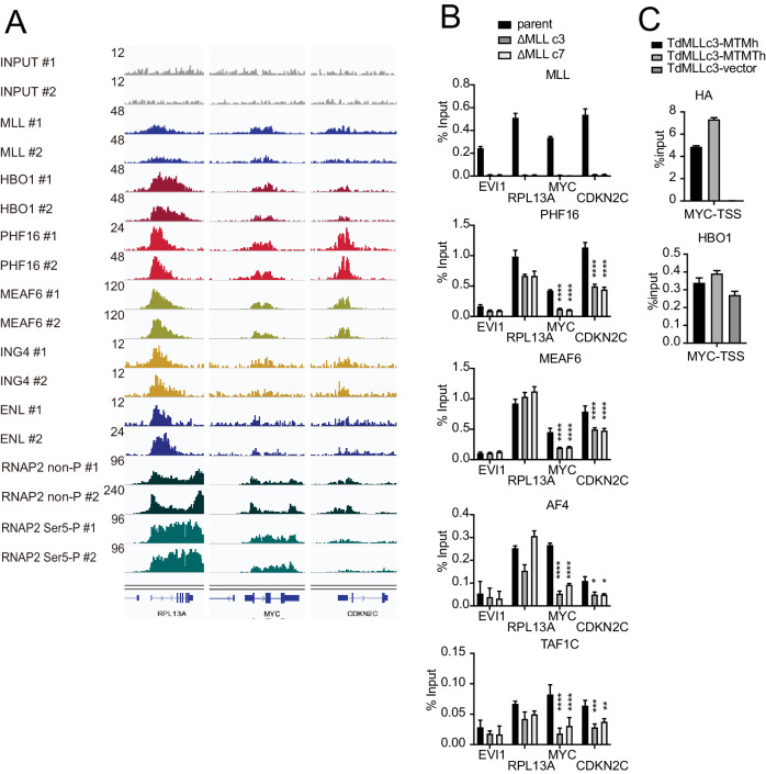 Figure 3—figure supplement 1.