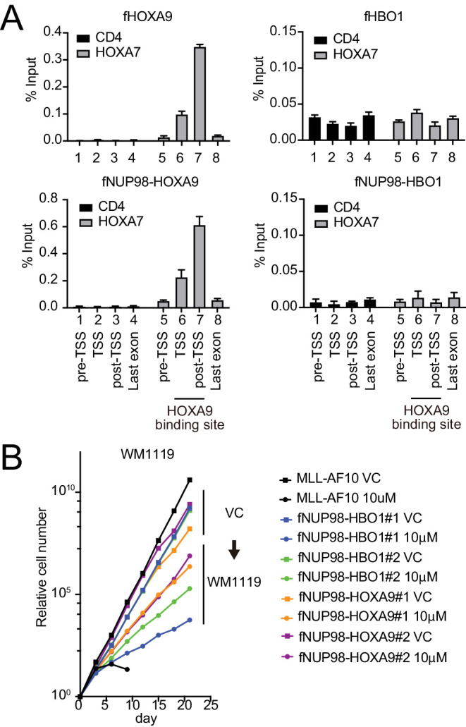 Figure 7—figure supplement 1.