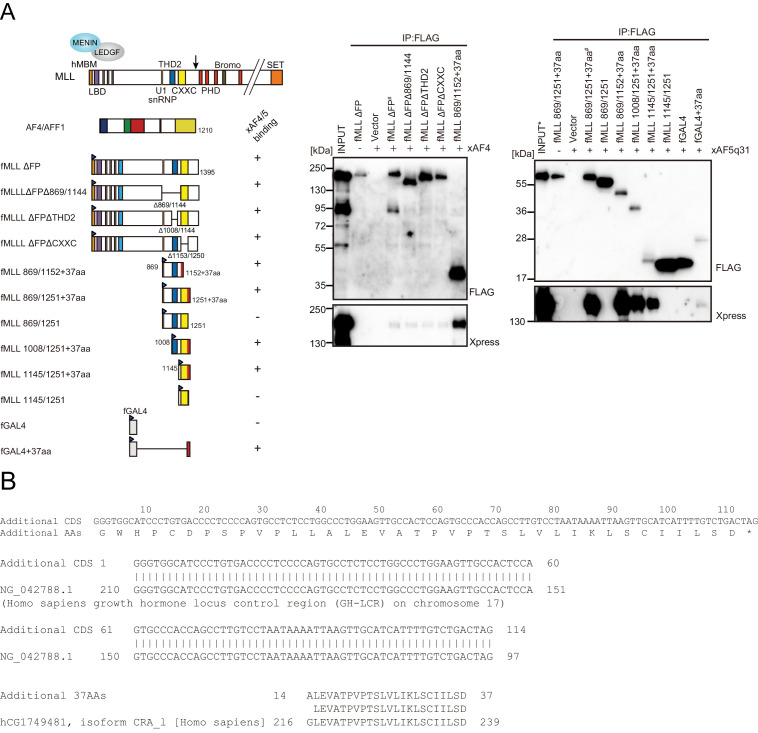 Figure 2—figure supplement 1.