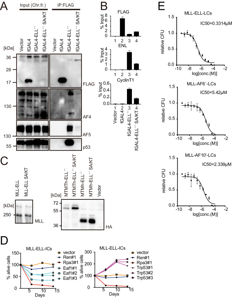 Figure 6—figure supplement 1.