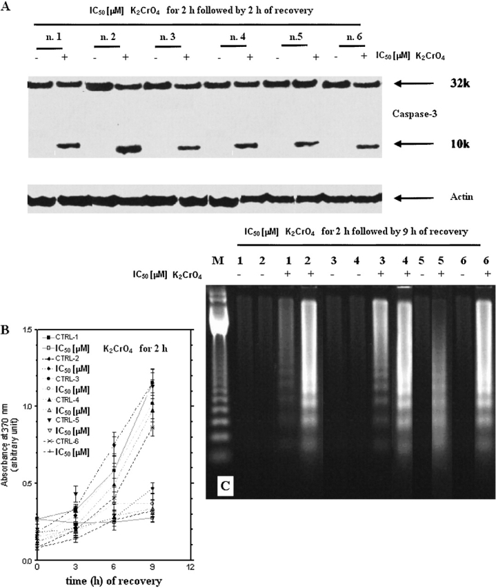 Figure 9.