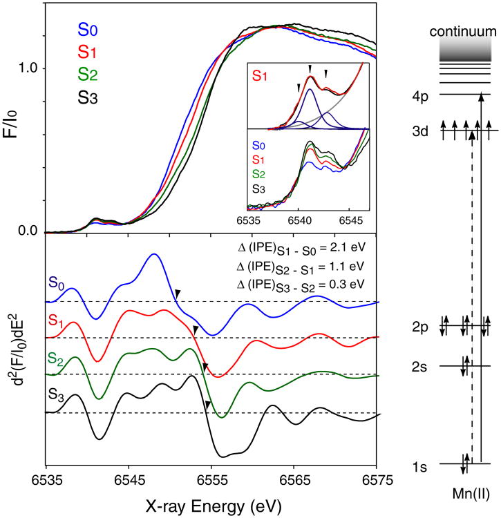 Fig. 2