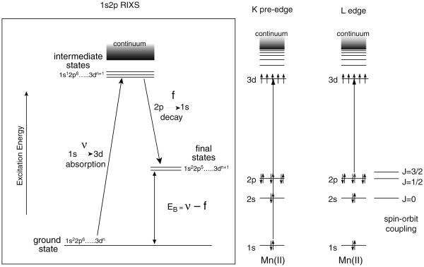 Fig. 8