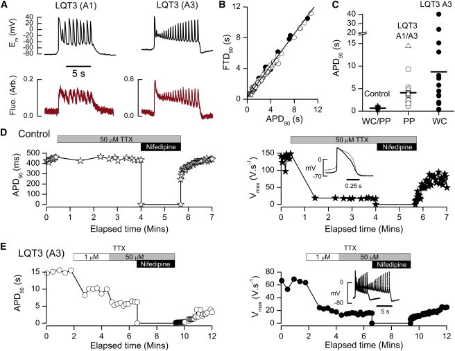 Figure 6