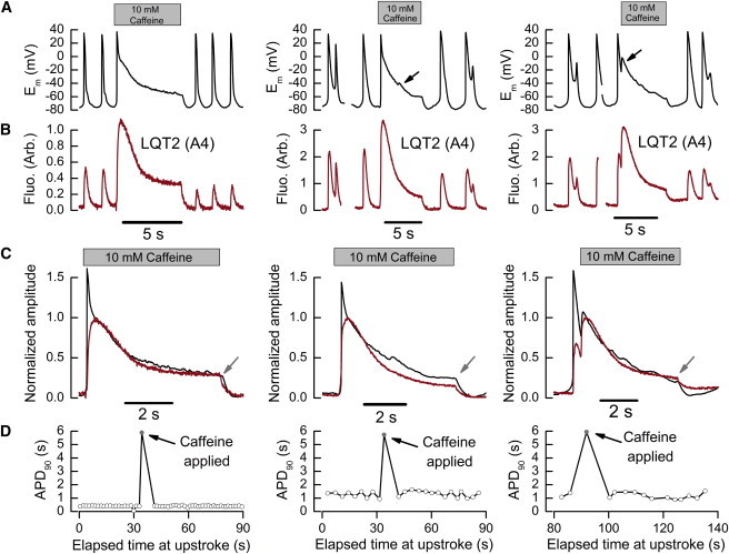 Figure 3