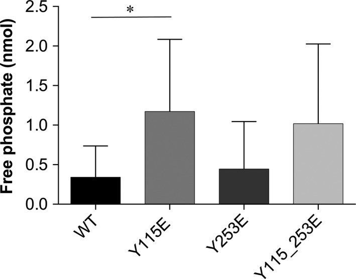 Figure 5