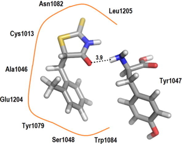 Fig. 11