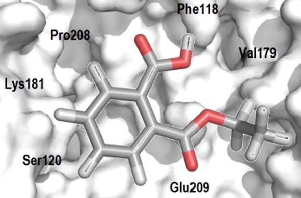 Fig. 10