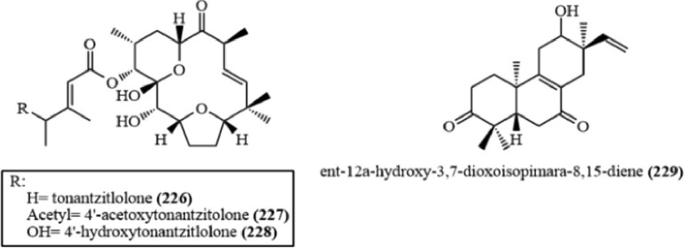 Fig. 22