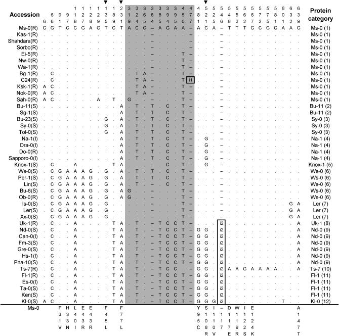 Figure 3.—